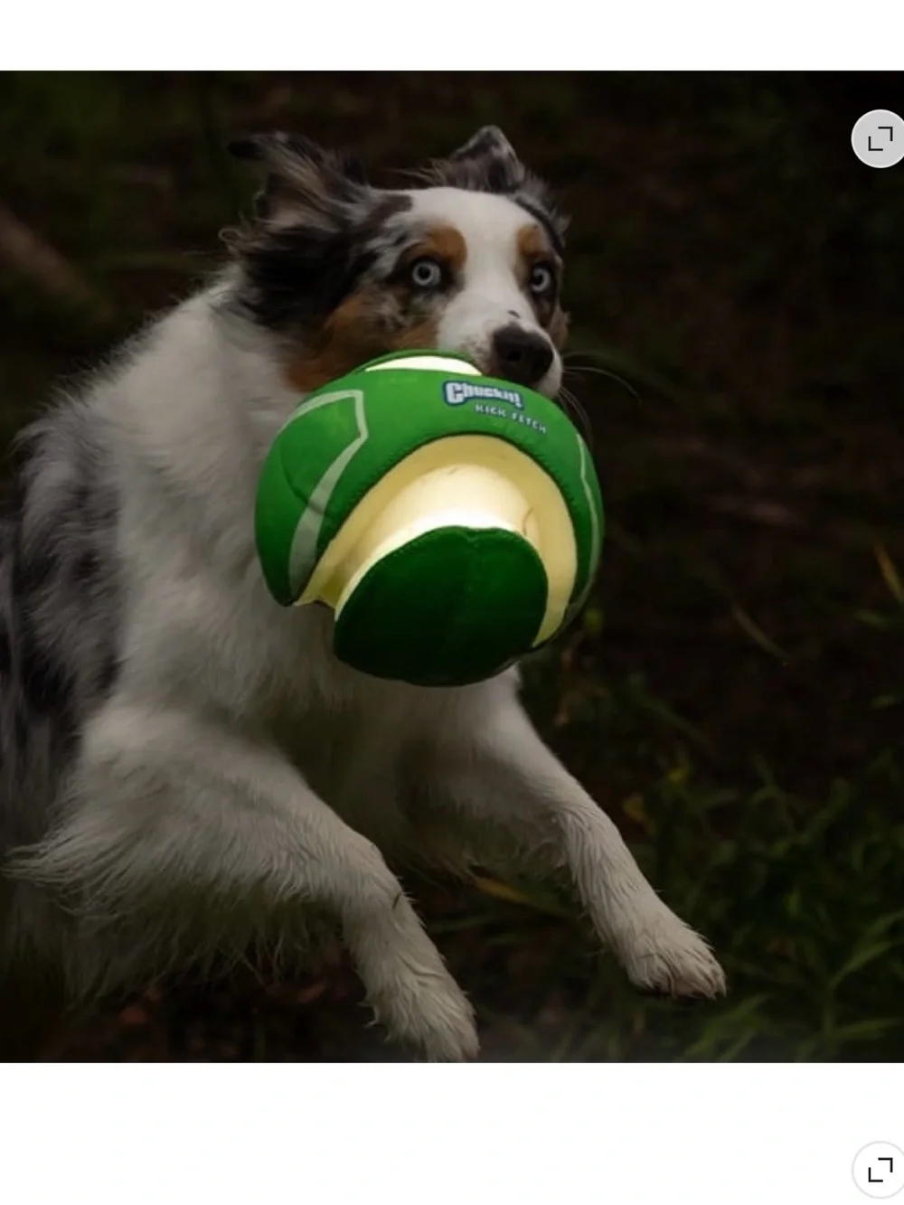 NWT Chuckit! Kick Fetch Glow Ball